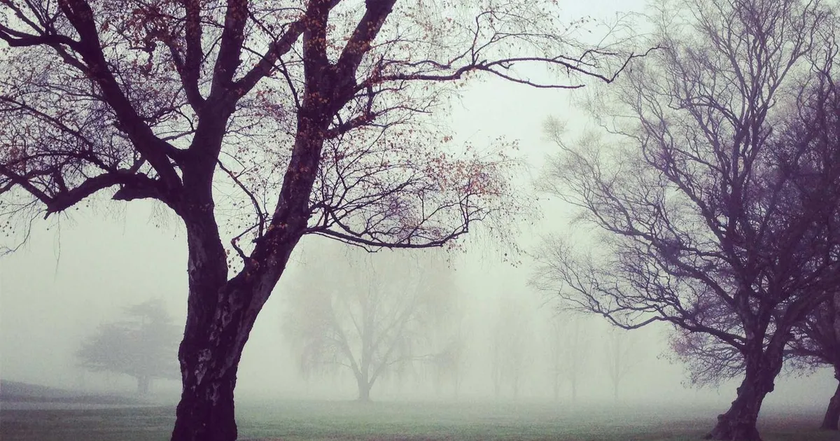 AI Detector Dansk: Sådan tjekker du om tekst er skrevet af AI