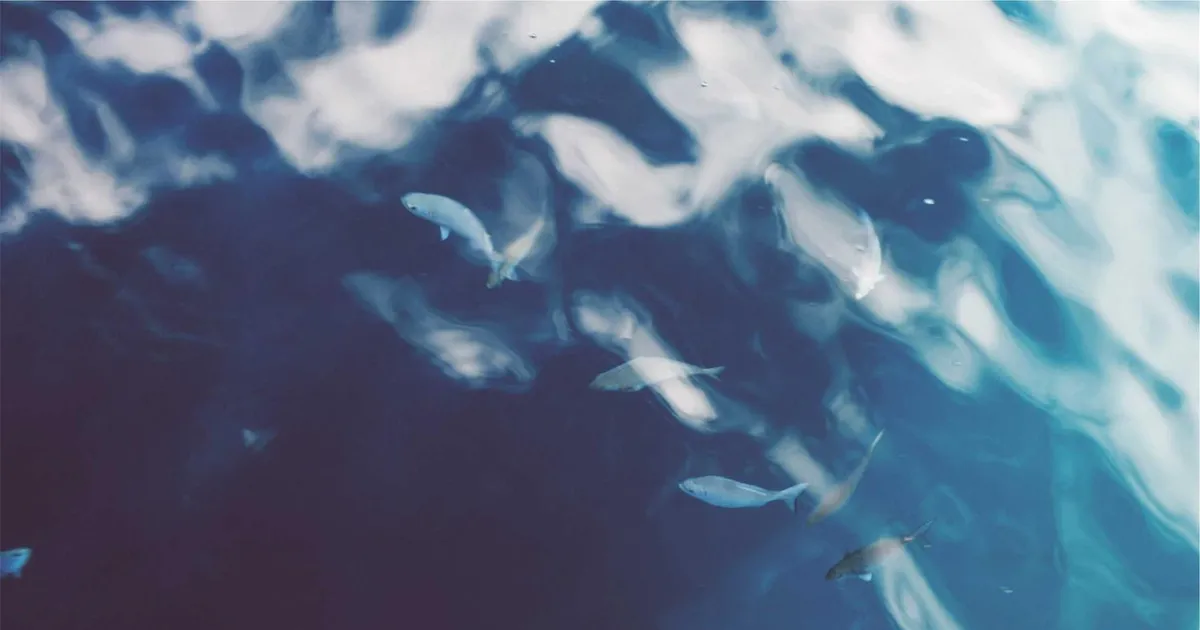 AI korrekturlæsning: Sådan får du fejlfri dansk tekst i 2026