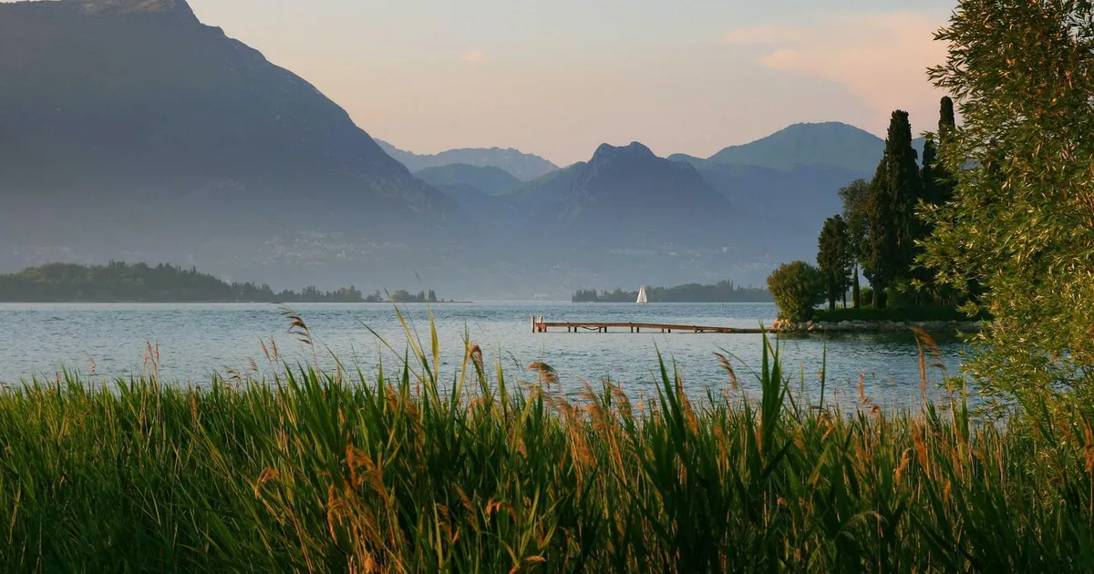 Arvelighed og ordblindhed: Forstå risikoen