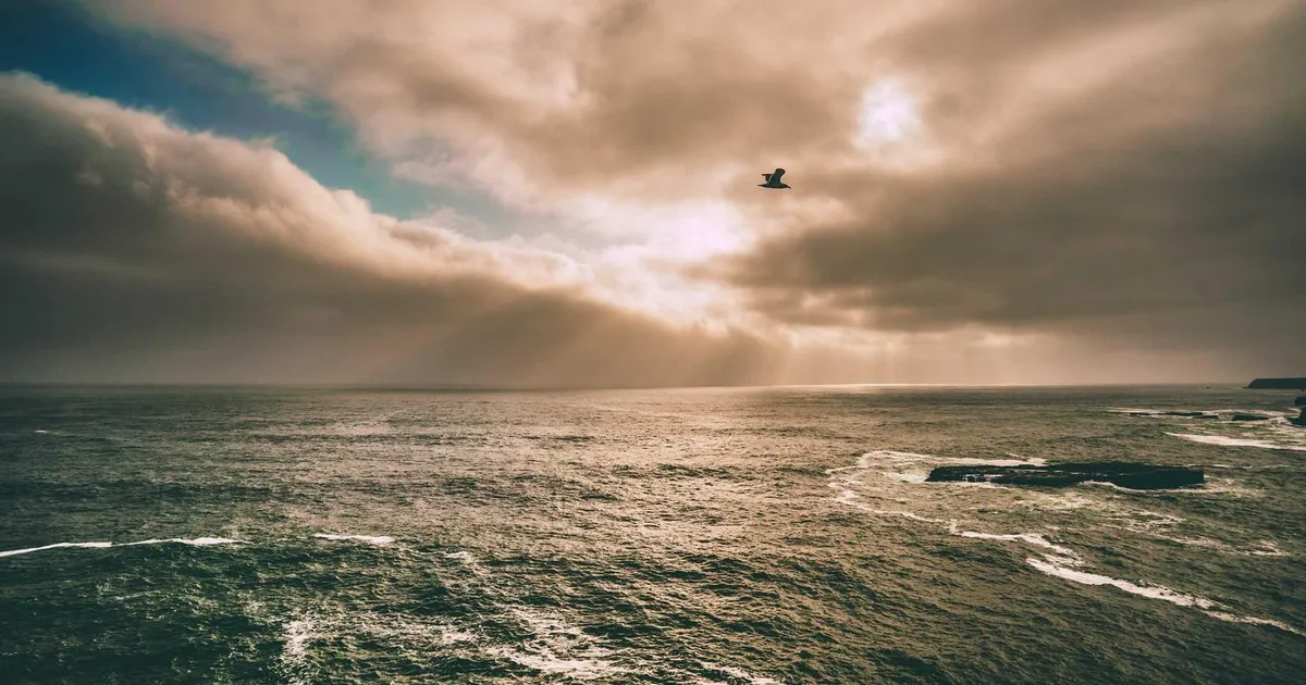 Bedste apps og spil til ordblinde i 2026