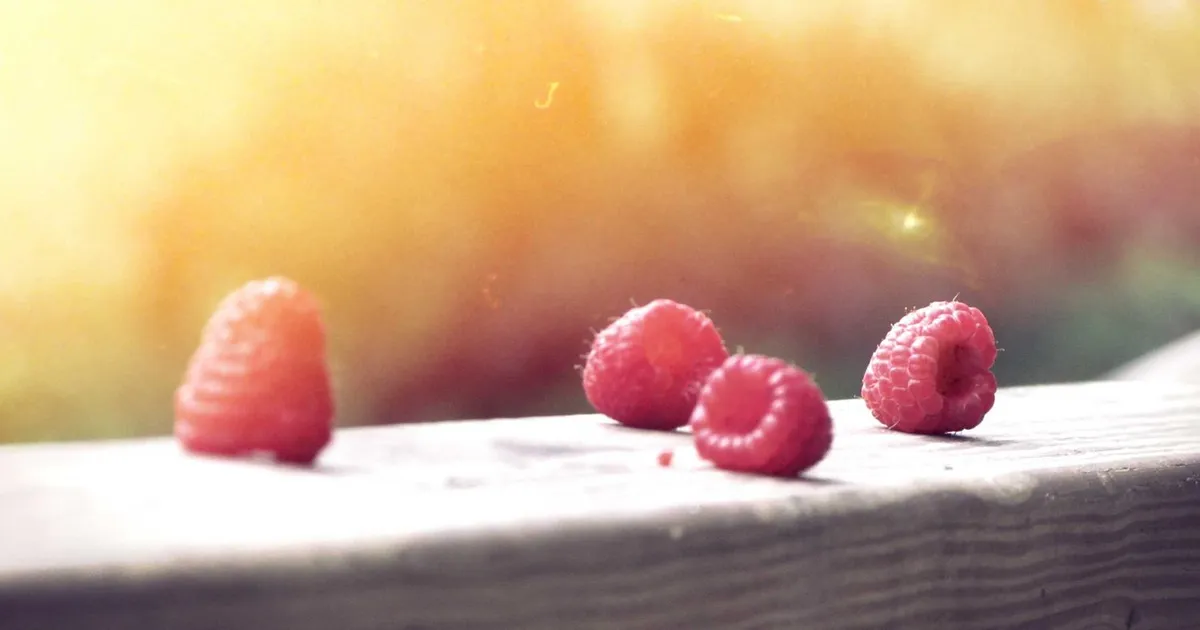 Dine rettigheder og støttemuligheder som ordblind