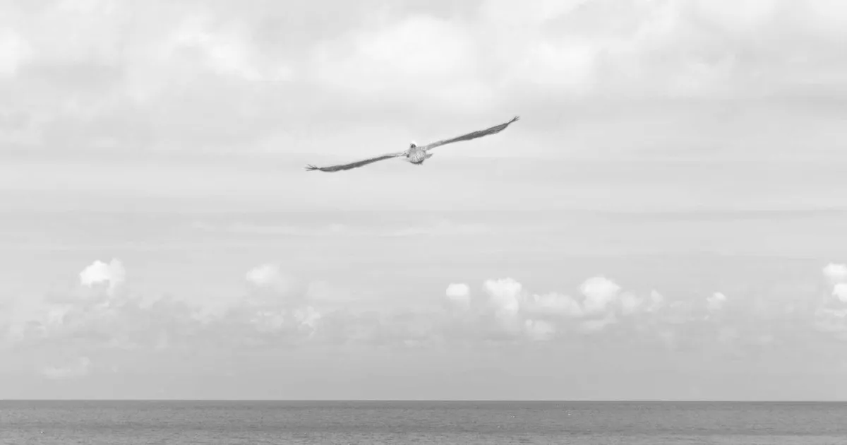 Dobbeltuddannelse i Danmark – Guide 2026