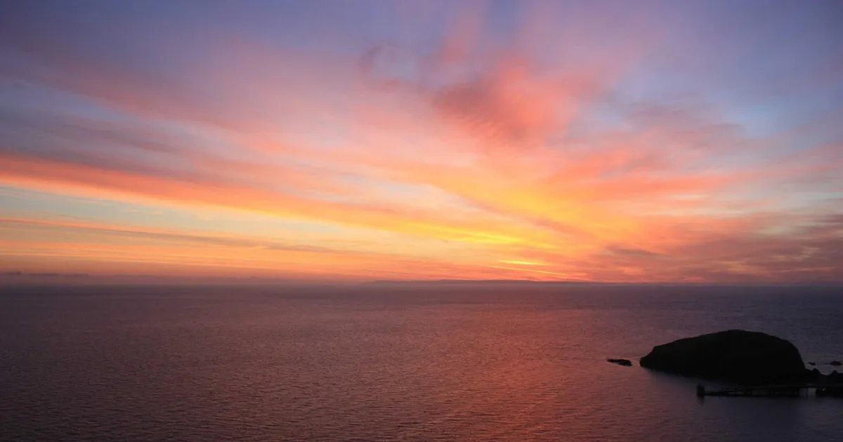 Sygt barn? Hvornår kan det i institution