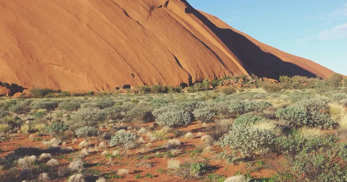 Folkeskolereformen 2026: Hvad forældre skal vide om de nye ændringer