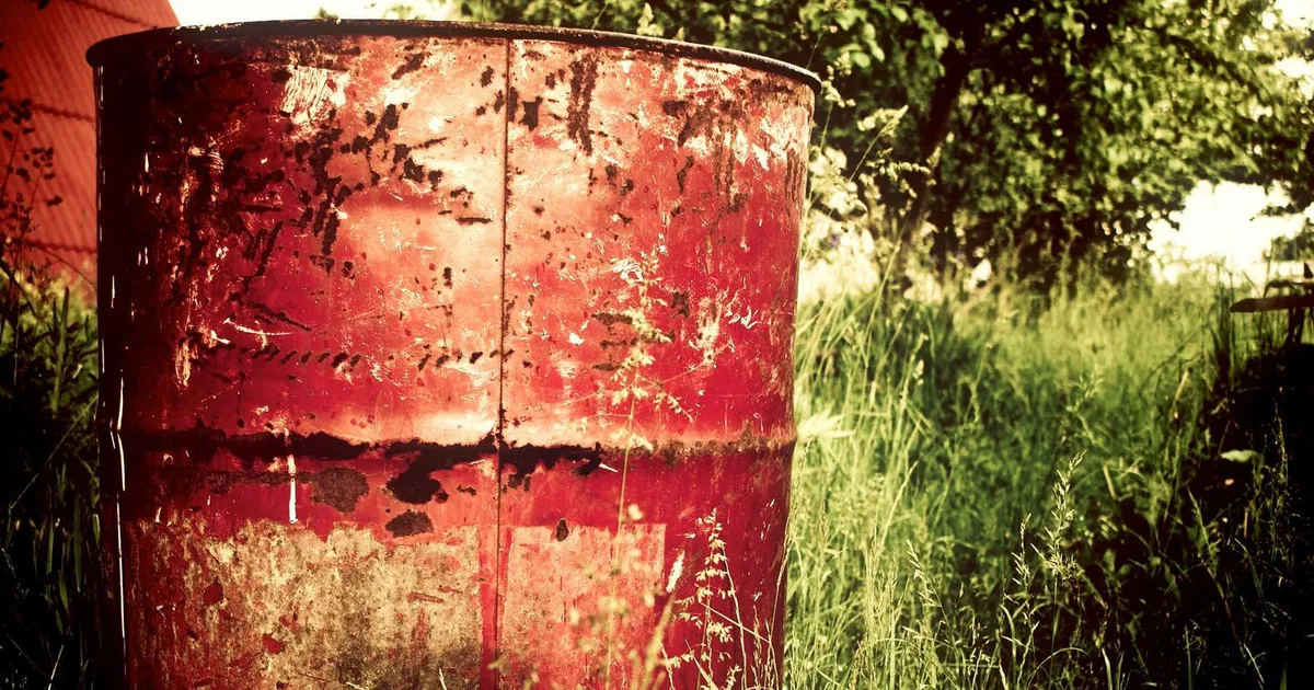 Ordblindhed vs. læsevanskeligheder: Kend forskellen