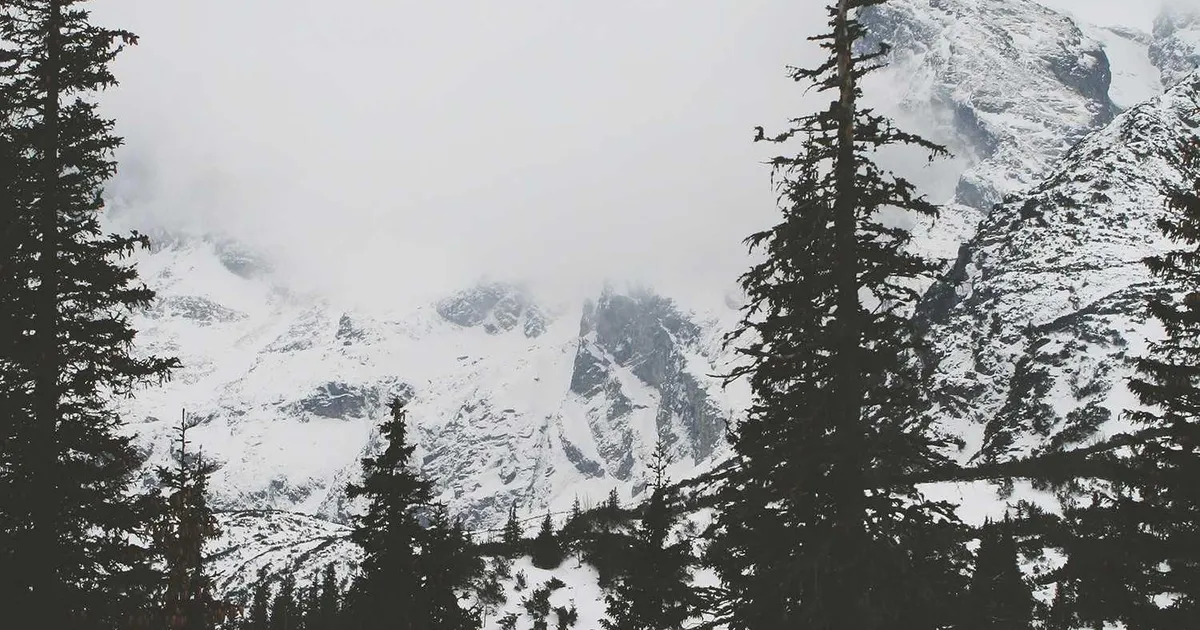 Forstå din teenager: Guide til bedre kommunikation i familien