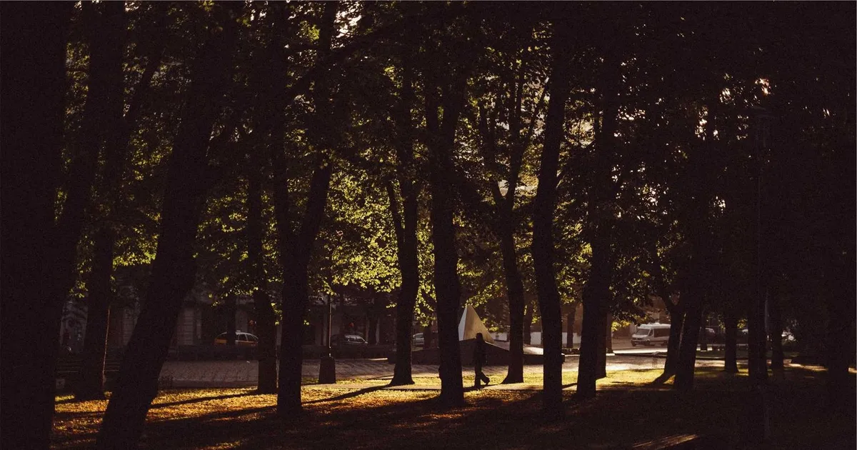 Gratis hjælpemidler til ordblinde i 2026: Den komplette liste