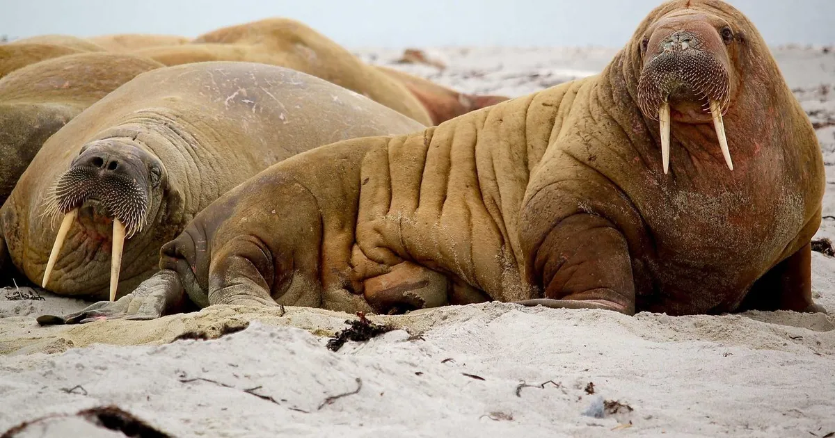 Hverdagsmindfulness: 9 enkle øvelser