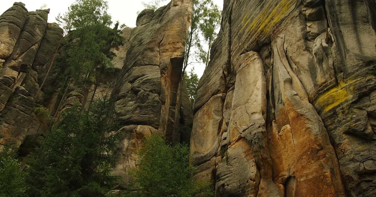 Kendte ordblinde: 25+ danskere og internationale stjerner der beviser succes
