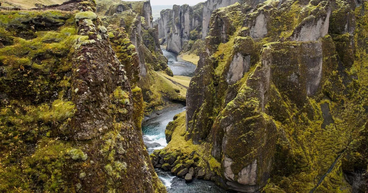 Læsevanskeligheder hos børn: Tegn, årsager og hvad du kan gøre