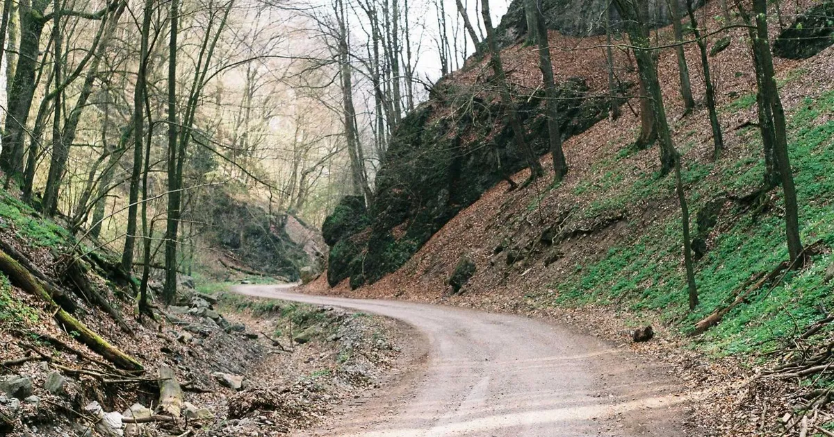 Lektiehjælp: Sådan støtter du dit barns læring uden konflikter