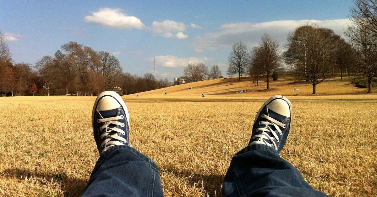 Ordblind som voksen: Guide til test, rettigheder og støtte 2026