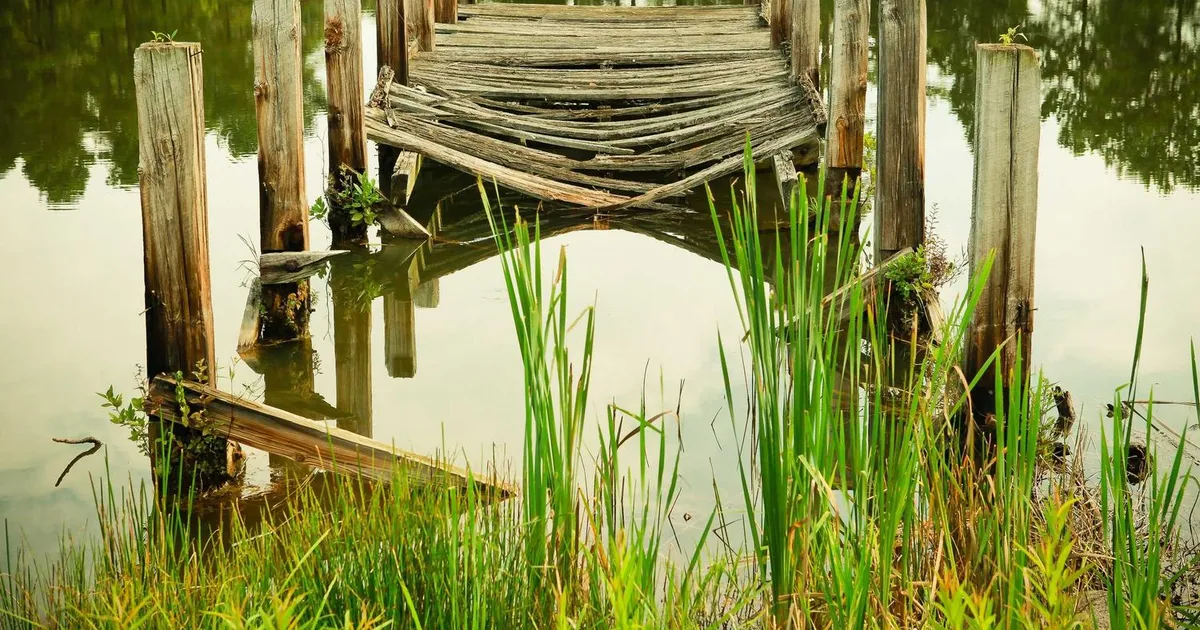 Ordblindetest i det offentlige: hvad kan du forvente?