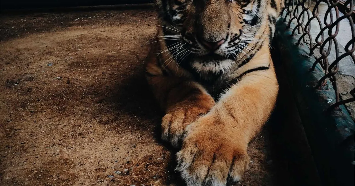 Overvind skriveblokering med AI: 10 konkrete teknikker