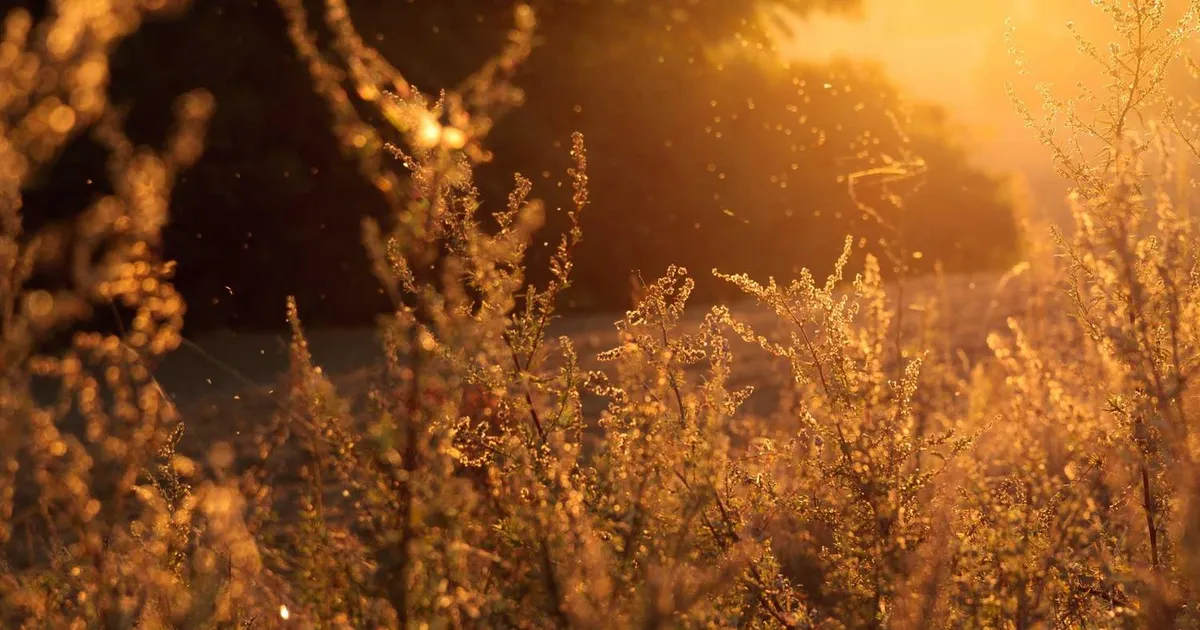 Præstationsangst: Symptomer, årsager og 8 veje ud (2026)