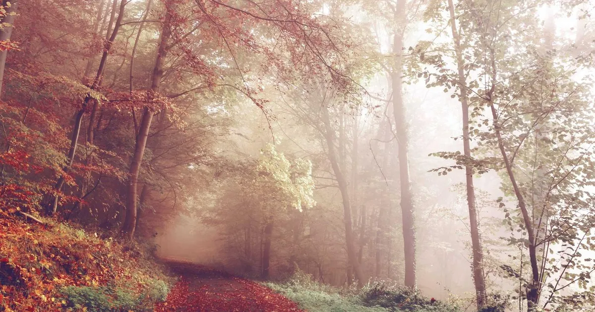 Særlige prøvevilkår for ordblinde: alt du skal vide til eksamen