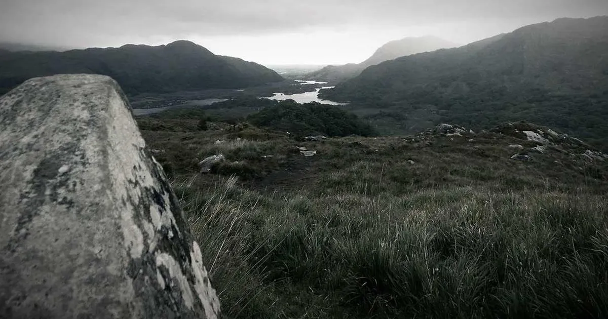 Skolegang efter skilsmisse: Samarbejd om trivsel