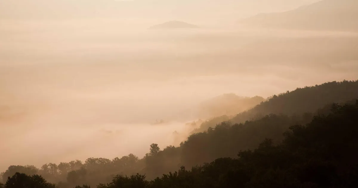Strategiske pauser: genoplad hjernen i 4 trin
