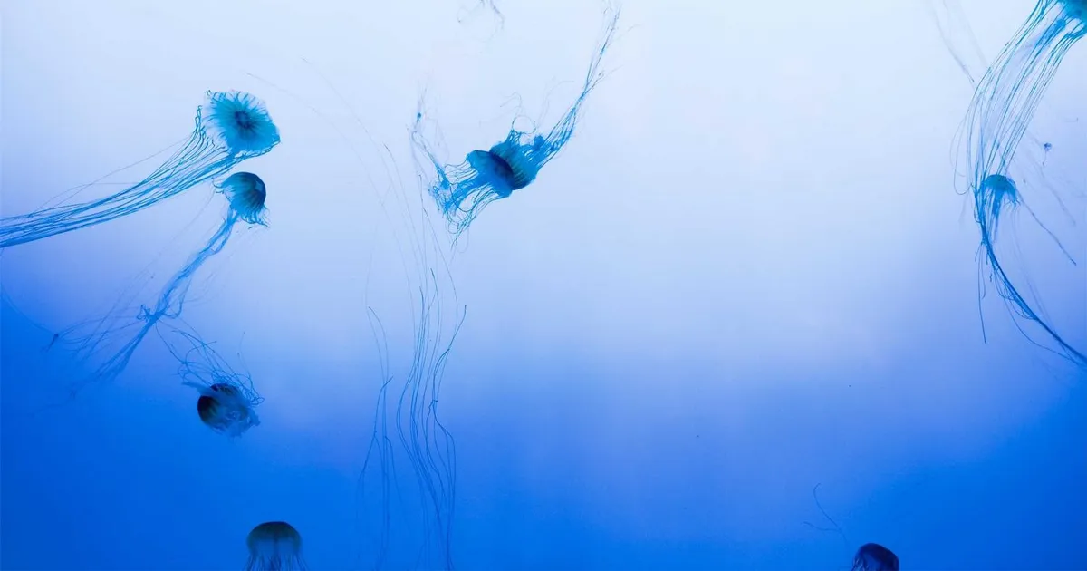 Vælg den rigtige sprogmodel i 2026